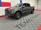 Used 2019 Ford F150 Raptor w/ Equipment Group 802A Luxury image 2