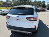 Used 2022 Ford Escape SEL image 4