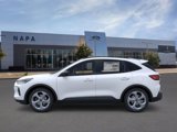New 2025 Ford Escape ST-Line w/ Equipment Group 301A image 3