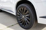New 2025 Hyundai Palisade Calligraphy image 4