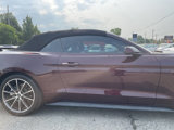 Used 2018 Ford Mustang Premium w/ Equipment Group 201A image 4