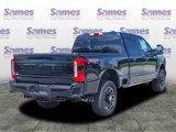 New 2025 Ford F250 Platinum image 4