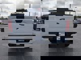 New 2025 Ford F150 STX w/ Equipment Group 200A image 5
