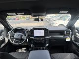 New 2025 Ford F150 STX image 2