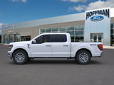 New 2025 Ford F150 XLT w/ Equipment Group 303A High image 5