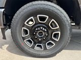 New 2025 Ford F250 Platinum image 3