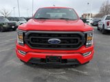 Used 2022 Ford F150 XLT w/ Equipment Group 302A High image 5