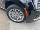 New 2025 GMC Yukon XL Denali w/ Sun & Power Step Package image 4