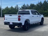 New 2025 Chevrolet Silverado 1500 Custom Trail Boss image 4