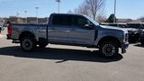 New 2025 Ford F250 Platinum image 5