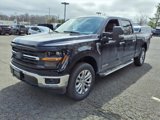 New 2025 Ford F150 XLT w/ Equipment Group 303A High image 5