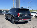 New 2025 Hyundai Palisade Calligraphy image 5