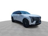 New 2025 Cadillac Escalade IQ Sport 2 w/ LPO, ONYX Package image 2