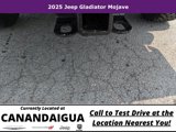 New 2025 Jeep Gladiator Mojave w/ Steel Bumper Group image 5