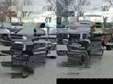 New 2025 Ford F350 Platinum w/ Snow Plow Prep Package image 2