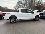 New 2025 Ford F150 XLT w/ Equipment Group 301A Standard image 4