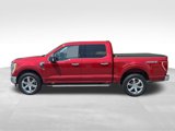 Used 2021 Ford F150 XLT w/ Equipment Group 302A High image 2