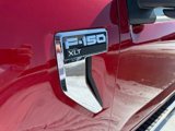 New 2025 Ford F150 XLT w/ Equipment Group 301A Standard image 4
