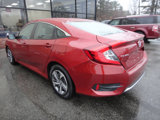Used 2020 Honda Civic LX image 6