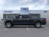New 2025 Ford F150 XLT w/ Equipment Group 303A High image 3