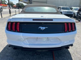 Used 2019 Ford Mustang Premium image 6