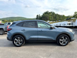 Used 2025 Ford Escape ST-Line image 4