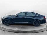 New 2025 Cadillac CT5 Premium Luxury image 4