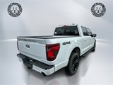 New 2025 Ford F150 XLT w/ Equipment Group 303A High image 5