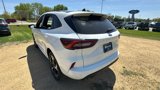 New 2025 Ford Escape ST-Line Elite image 5
