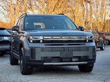 New 2025 Hyundai Santa Fe XRT image 2