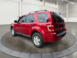 Used 2011 Ford Escape XLT w/ 202A Rapid Spec Order Code image 5
