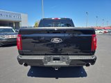 New 2025 Ford F150 XLT w/ Equipment Group 302A MID image 5