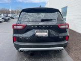 Used 2023 Ford Escape Platinum image 4