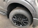 New 2025 Ford F150 XLT w/ Equipment Group 302A MID image 5