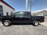 Used 2019 Ford F150 XLT w/ Equipment Group 301A Mid image 4
