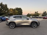 New 2026 Lexus NX 350 AWD w/ Luxury Package image 4