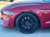 Used 2021 Ford Mustang GT Premium w/ GT Performance Package image 6