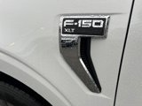 New 2025 Ford F150 XLT w/ Equipment Group 302A MID image 3