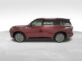 Used 2025 INFINITI QX80 Sensory image 4