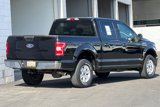 Certified 2019 Ford F150 XLT w/ Equipment Group 301A Mid image 3