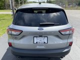 Used 2022 Ford Escape SE w/ SE Sport Appearance Package image 6