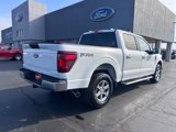New 2025 Ford F150 XLT w/ Equipment Group 301A Standard image 3