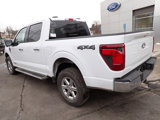 New 2025 Ford F150 XLT w/ Equipment Group 302A MID image 3