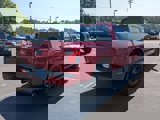 New 2025 Ford F150 STX w/ STX Black Appearance Package image 4