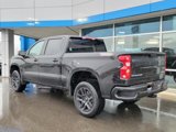 New 2025 Chevrolet Silverado 1500 Custom Trail Boss w/ Turbomax Blackout Package image 4