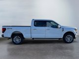 New 2025 Ford F150 XLT w/ Equipment Group 303A High image 6