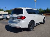 Certified 2024 INFINITI QX80 Sensory image 4