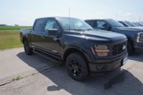 New 2025 Ford F150 STX image 3