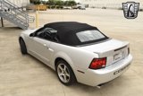 Used 2003 Ford Mustang Cobra image 5