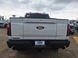 New 2025 Ford F150 Tremor w/ Equipment Group 402A High image 4